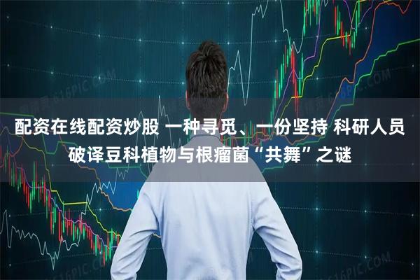 配资在线配资炒股 一种寻觅、一份坚持 科研人员破译豆科植物与根瘤菌“共舞”之谜